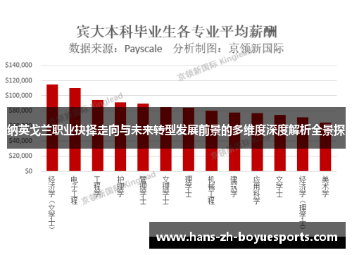纳英戈兰职业抉择走向与未来转型发展前景的多维度深度解析全景探