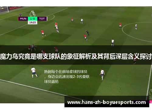 魔力鸟究竟是哪支球队的象征解析及其背后深层含义探讨